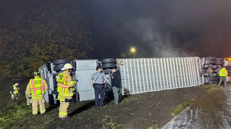 Cows that survived Connecticut truck crash are doing fine, get vet’s OK to head on to Ohio